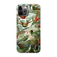 Haeckel Trochilidae: Volledig geprint iPhone 12 Hoesje