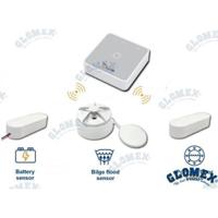 Control embarcación GLOZB101 - Sistema de control remoto&wireless, se
