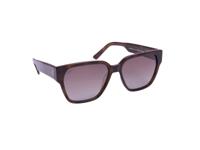 Jackie L Orléans JL-0576B tortoiseshell - bruin dégradé polarised TAC - UV400