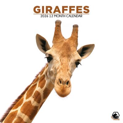 Giraffe Kalender 2026