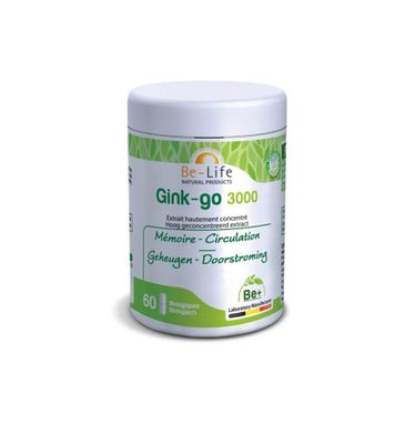 Gink-go 3000