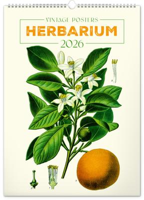 Herbarium Kalender 2026 Groot