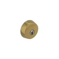 Intersteel VeiligheidsrozetSalus voor oplegslot met kerntrekbeveiliging messing - 0050.375599