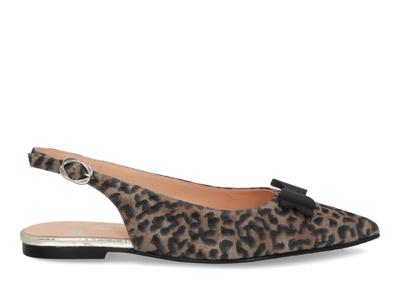 Floris van Bommel Gygi 01.05 taupe multi bruin maat 37