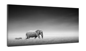 Karo-art Schilderij -Olifant en Zebra op pad, zwart en wit, 100x70cm