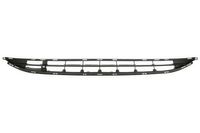 Ventilatiegrille, bumper 6502075025910P