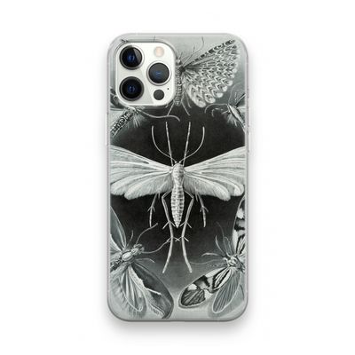 Haeckel Tineida: iPhone 12 Pro Transparant Hoesje