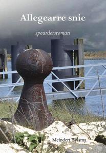 Allegearre snie (Paperback)