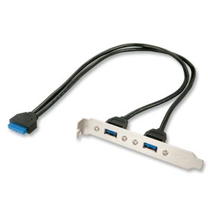 Lindy 33096 USB-kabel 0,4 m 2 x USB 3.0 1 x 20 Way Header Grijs, Zwart