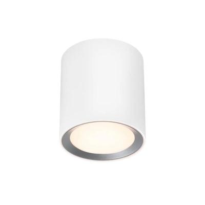 Kleine witte plafondlamp met ingebouwde LED lichtbron en Moodmaker Nordlux &apos;Landon 14&apos;
