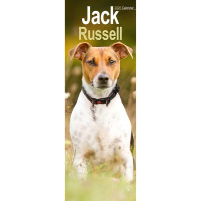 Jack Russell Terrier Kalender 2026 Slimline