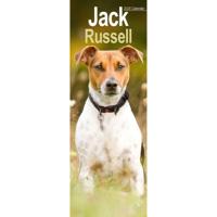 Jack Russell Terrier Kalender 2026 Slimline