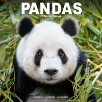 Panda Kalender 2026