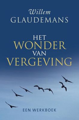 Het wonder van vergeving - Willem Glaudemans - ebook