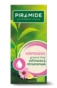 Piramide Groene Thee Verfrissend