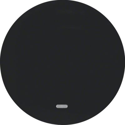 Berker wip met lens R1-R3 zwart 16212045