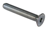 Hebie Stand bout m10x65 tweepoot 699 26