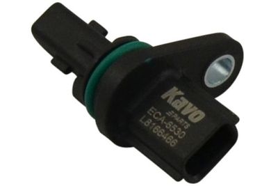 Nokkenassensor ECA6530