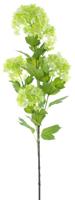 Viburnum flower spray green 88 cm kunstbloemen Erutan Avon - Erutan avon