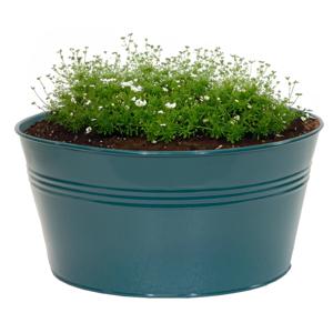 Plantenpot/bloempot Bob - rond - zink - zeegroen - D25 X H12 cm