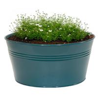 Plantenpot/bloempot Bob - rond - zink - zeegroen - D25 X H12 cm - thumbnail