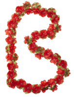 Basil flower garland - bloemenstreng - rood