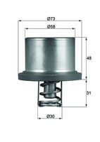 Thermostaat, koelvloeistof THD289