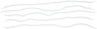 Hanseline Cleaning line velo floss white