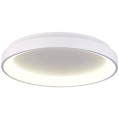 Deko Light Merope Plafondopbouwarmatuur LED vast ingebouwd 60 W Warmwit, Neutraalwit Verkeerswit (RAL 9016)
