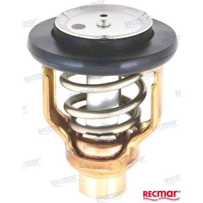 REC6DA-12411-01 - YAMAHA THERMOSTAAT 60 graden