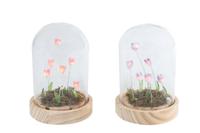 Sfeerverlichting LED Aisa paars/roze 2 assorti glas
