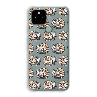 Slapende poes: Google Pixel 5 Transparant Hoesje