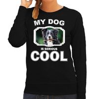 Border collie honden sweater / trui my dog is serious cool zwart voor dames - thumbnail