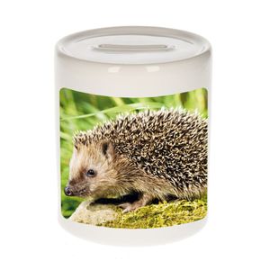 Foto egel spaarpot 9 cm - Cadeau egels liefhebber   -