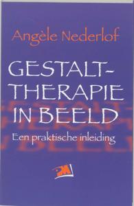 Gestalttherapie in beeld (Paperback)