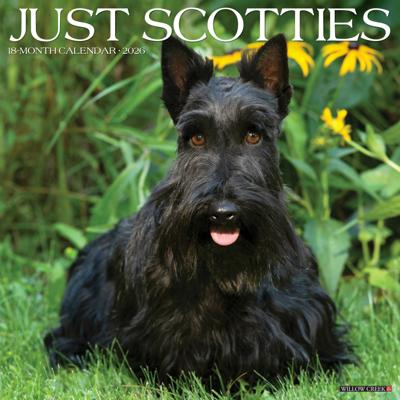 Schotse Terrier Kalender 2026
