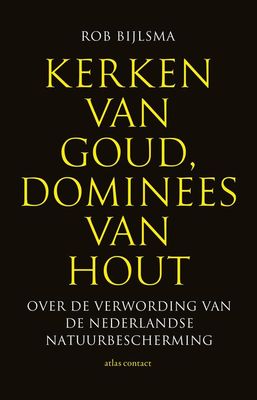 Kerken van goud, dominees van hout - Rob Bijlsma - ebook