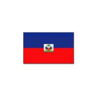 Feestartikelen Vlag Haiti