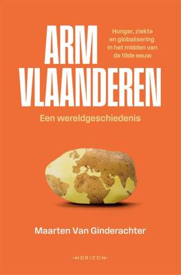 Arm Vlaanderen. Een wereldgeschiedenis (Hardback)