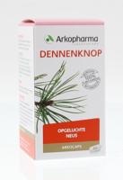 Arkocaps Dennenknop