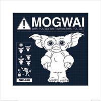 Kunstdruk Gremlins - Mogwai Rules 40x40cm