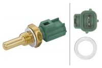 Temperatuursensor 6PT009107481