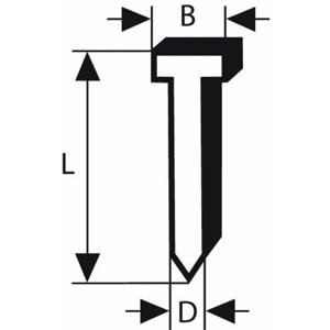 Nagel met verzonken kop SK 50 mm 30 g, 1,2 mm, 30 mm, verzinkt 5000 stuk(s) Bosch Accessories 2608200514 Afm. (l x b) 30 mm x 1.2 mm