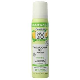 Droogshampoo voor Volumeboost 100