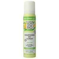 Droogshampoo voor Volumeboost 100 Droogshampoo voor Volumeboost 100