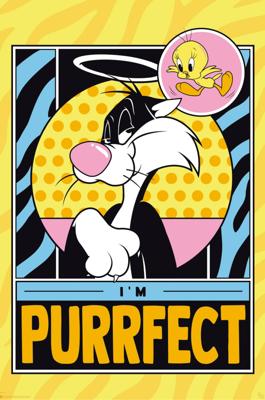Poster Looney Tunes Tweety and Sylveste 61x91,5cm
