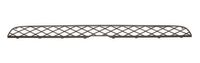 Ventilatiegrille, bumper 6502070096994P