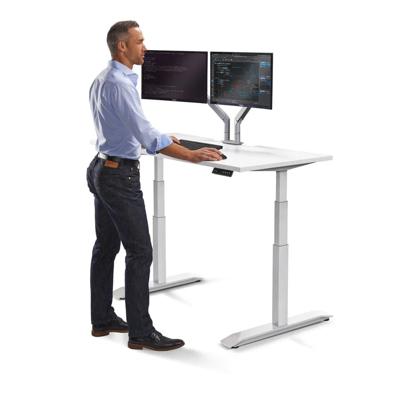 LifeSpan Standing Desk