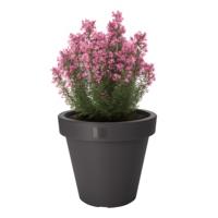 Pro Garden Bloempot - antraciet - rond - D25 cm - kunststof - plantenpot - tuin buiten