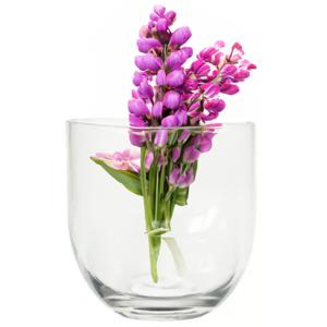 Bloemenvaas Karel - helder transparant glas - D19 x H19 cm - decoratieve vaas - bloemen/takken